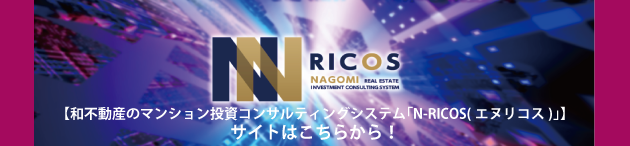 N-RICOSサテ誘導