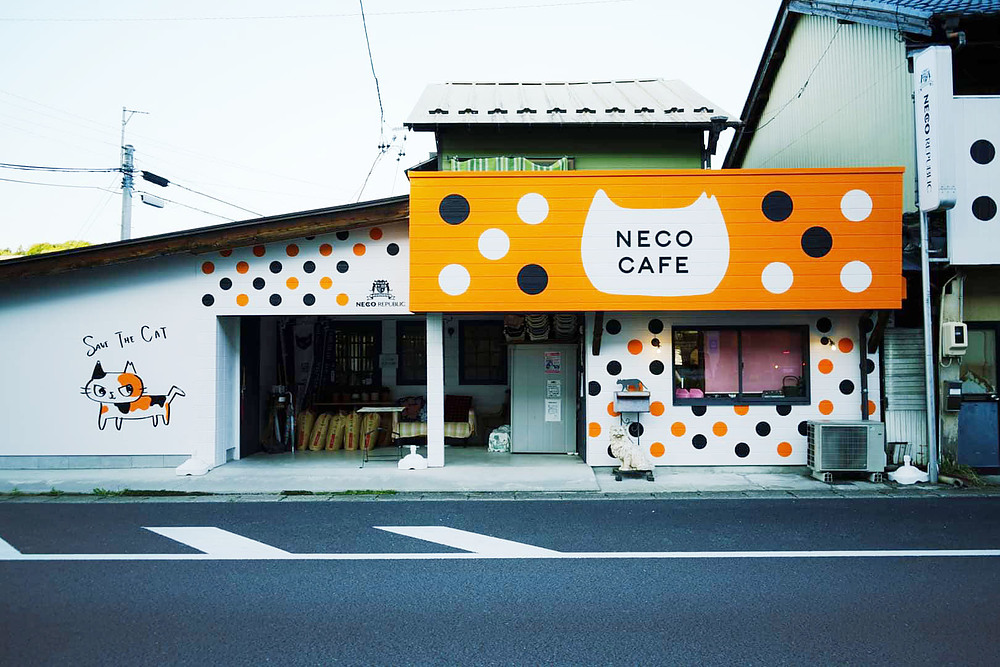 河瀬麻花 かわせあさか