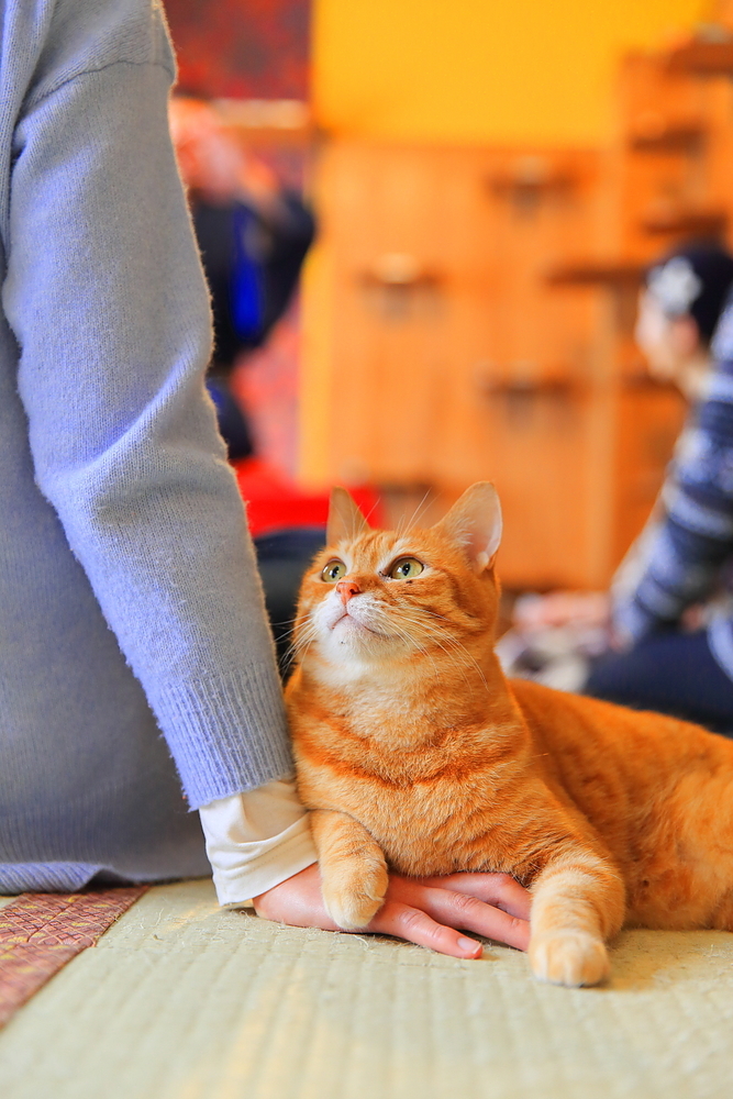 河瀬麻花 かわせあさか