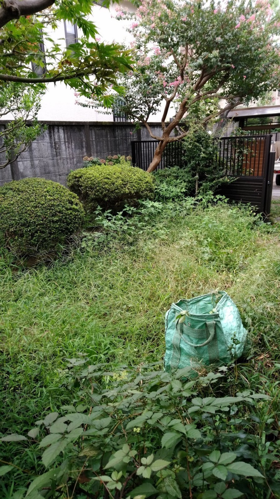 一年中雑草に悩まれてるお庭で雑草対策 防草対策の為真砂土舗装を施工しました 庭師 浅野哲也 マイベストプロ東京