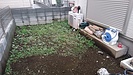 新築戸建てを購入後、庭をどうするか悩まれてご相談を頂き人工芝・花壇・真砂土舗装をご提案しました