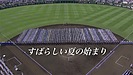 「平成最後の夏⚾」その2