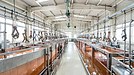 AIによる表面処理・電気めっき加工業界ビジネスレポートサイトを運用しています