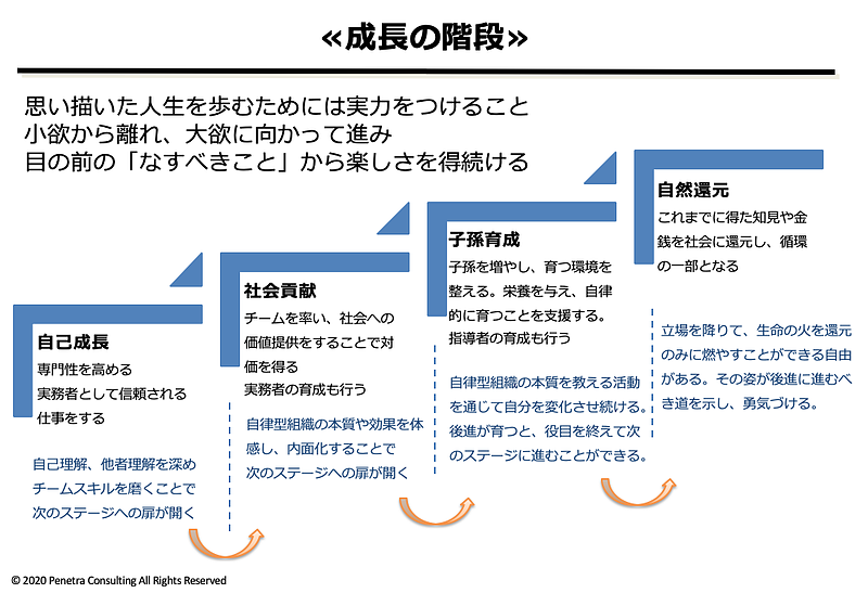 成長の階段