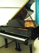 ナイトーン・グランドピアノ用 “超“ 弱音装置 「お客様の声」