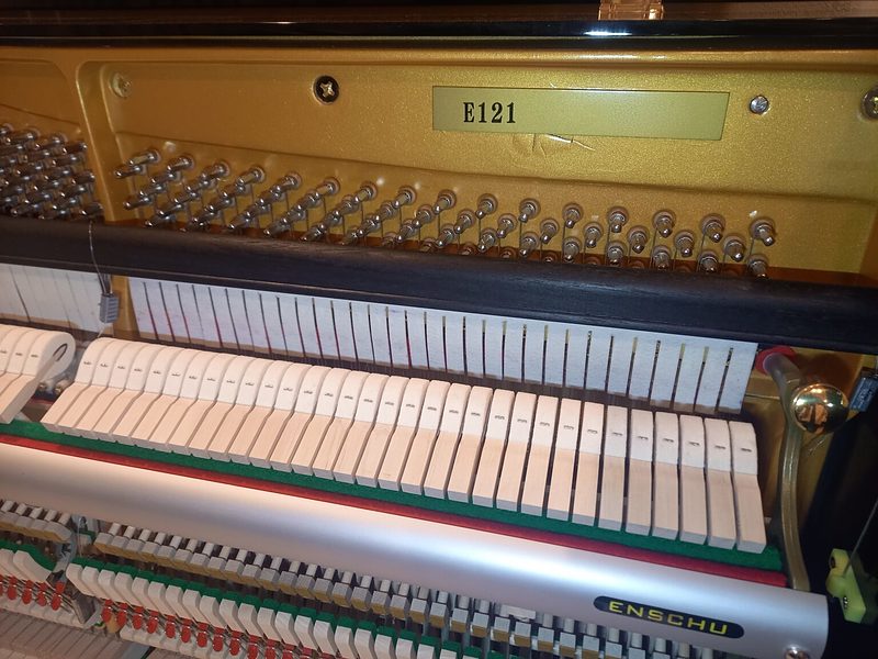 エンシュウ（3）