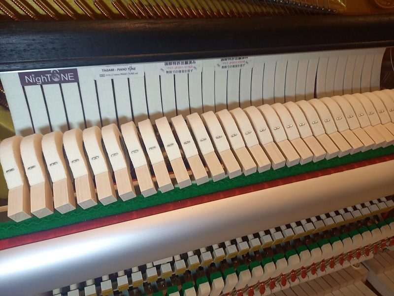 エンシュウ（4）