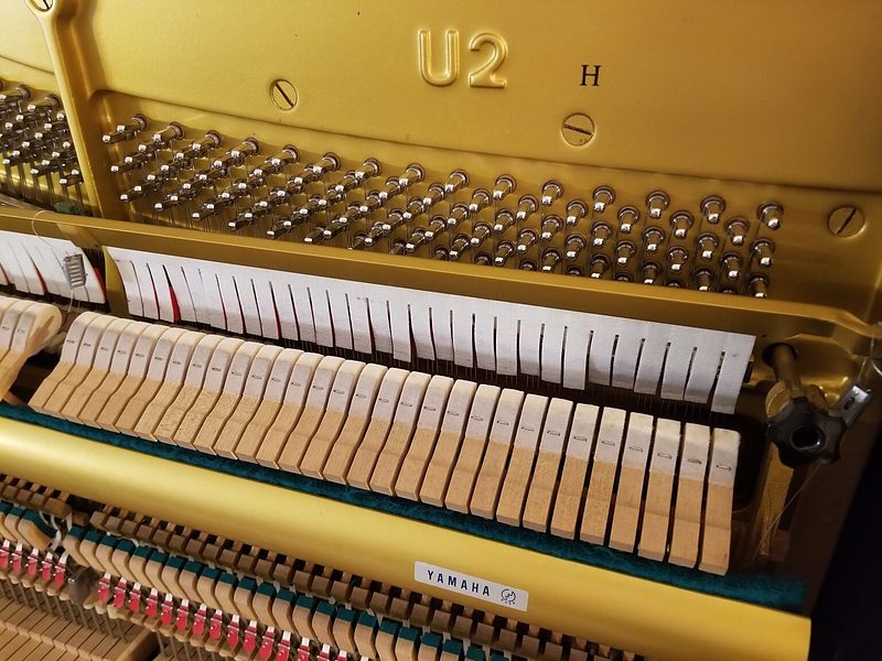 ヤマハ(3) ヤマハ(3)