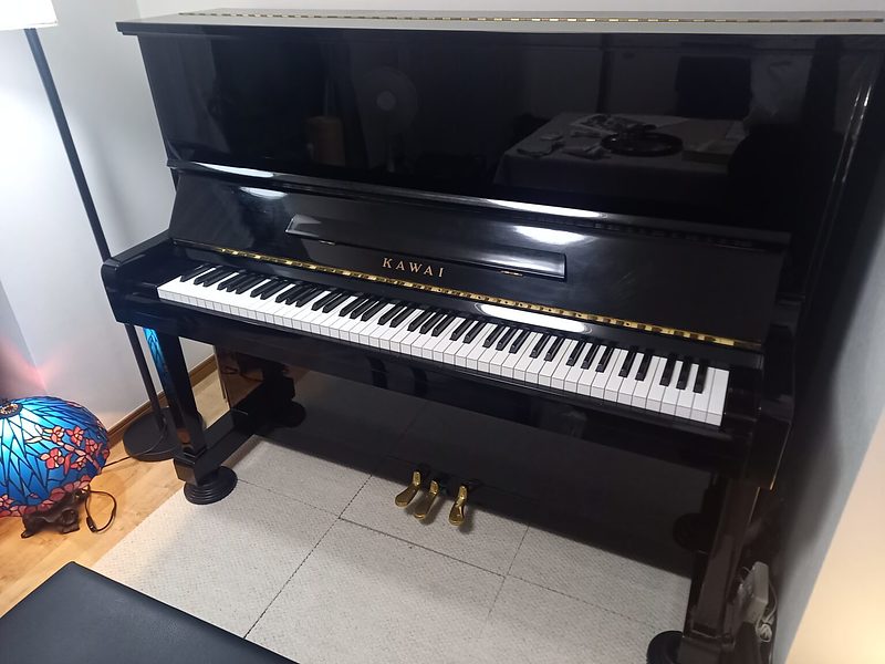 カワイ(1) カワイ(1)