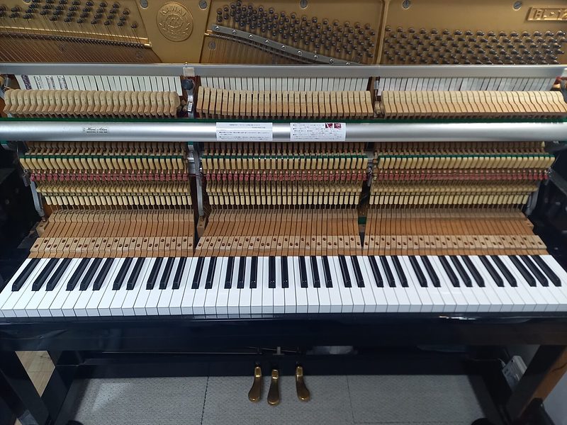 カワイ(2) カワイ(2)