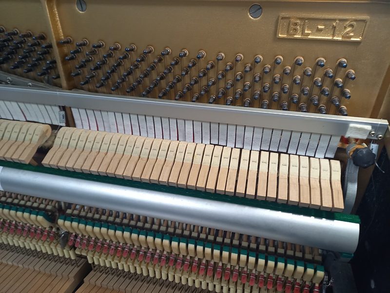 カワイ(3) カワイ(3)