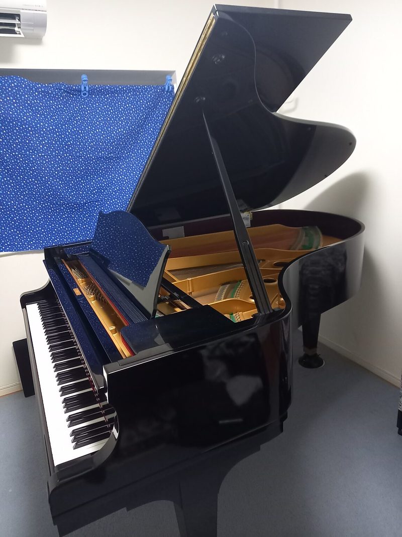 ディアパソン(1)