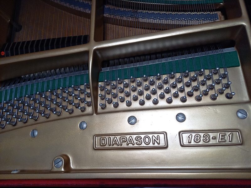 ディアパソン(2)