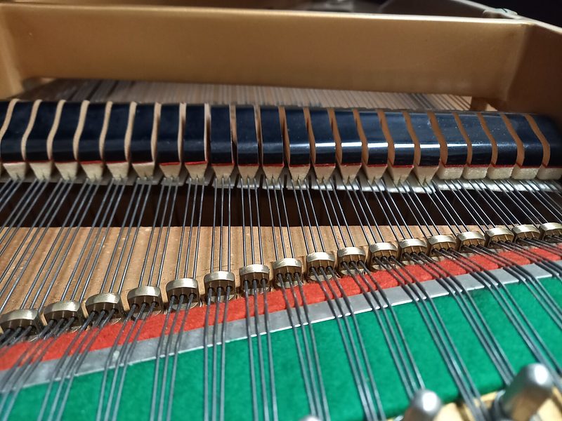 ディアパソン(3)