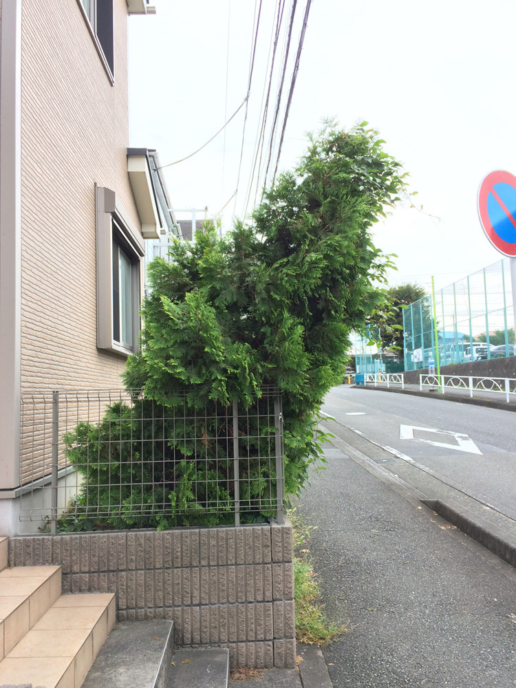 台風での傾斜