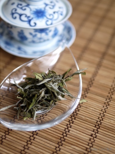 荒野白牡丹　茶葉