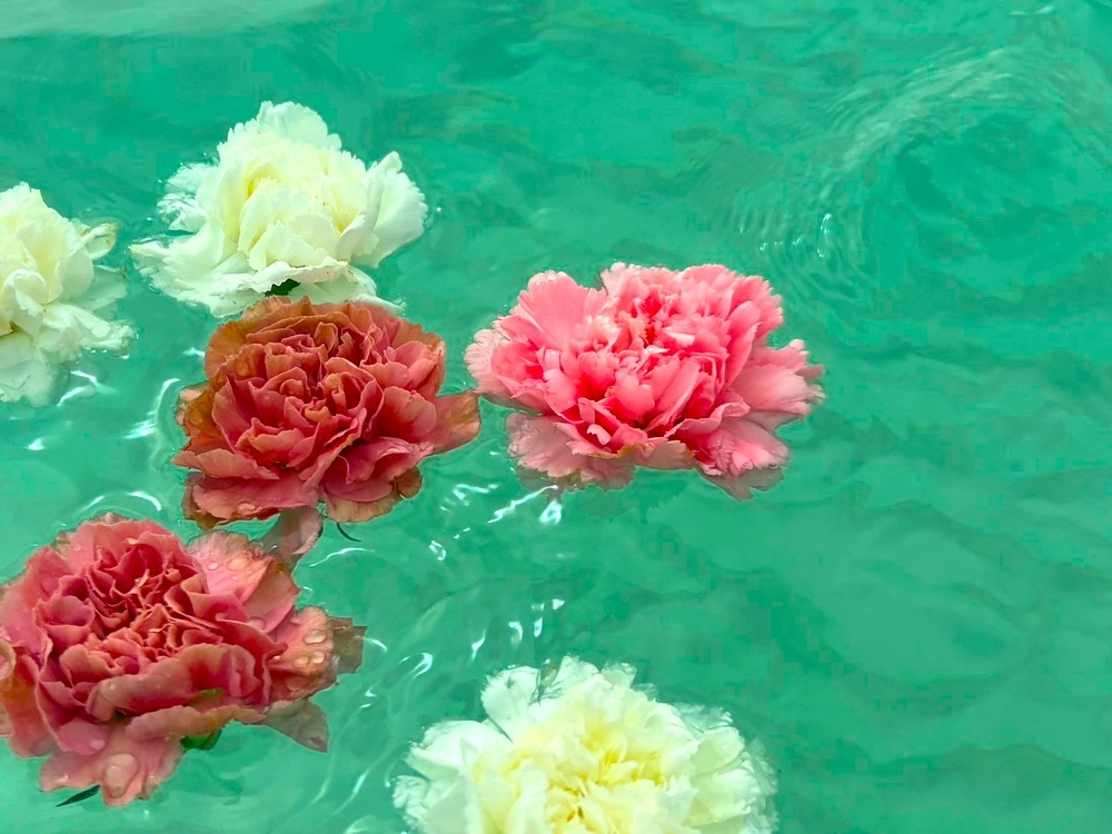 村田光史 むらたこうじ