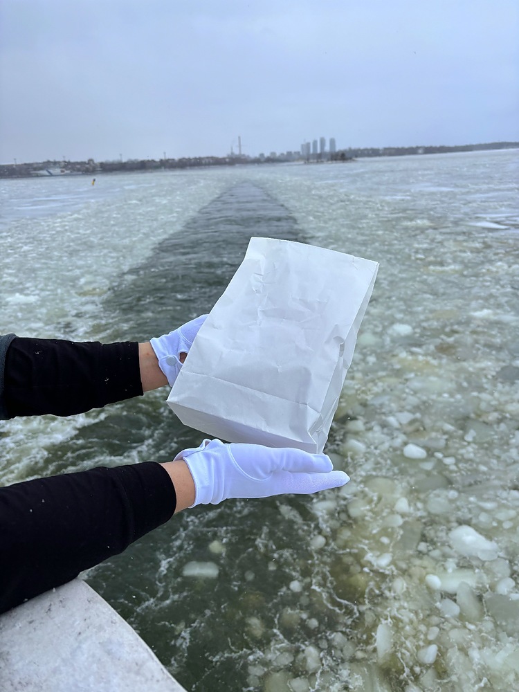 村田光史 むらたこうじ