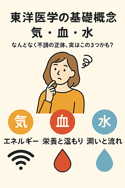 【東洋医学の基礎概念 気・血・水】