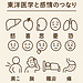 東洋医学で診る感情と体の繋がり