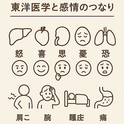 東洋医学で診る感情と体の繋がり