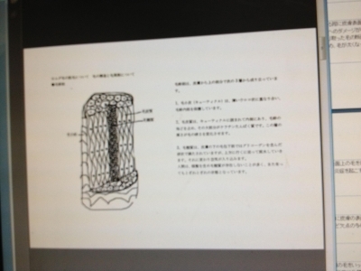 足・靴・歩行から魅せる脚へ 美脚マエストラ 飛鳥田由理