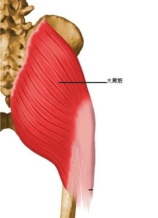 足・靴・歩行から魅せる脚へ 美脚マエストラ 飛鳥田由理