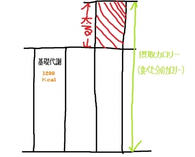 足・靴・歩行から魅せる脚へ 美脚マエストラ 飛鳥田由理