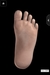 足の裏の筋肉は4層