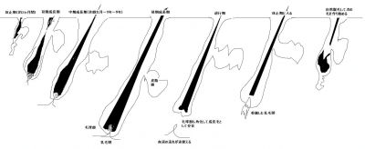 足・靴・歩行から魅せる脚へ　美脚マエストラ　飛鳥田由理