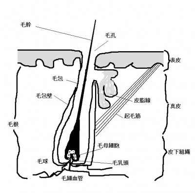 足・靴・歩行から魅せる脚へ 美脚マエストラ 飛鳥田由理