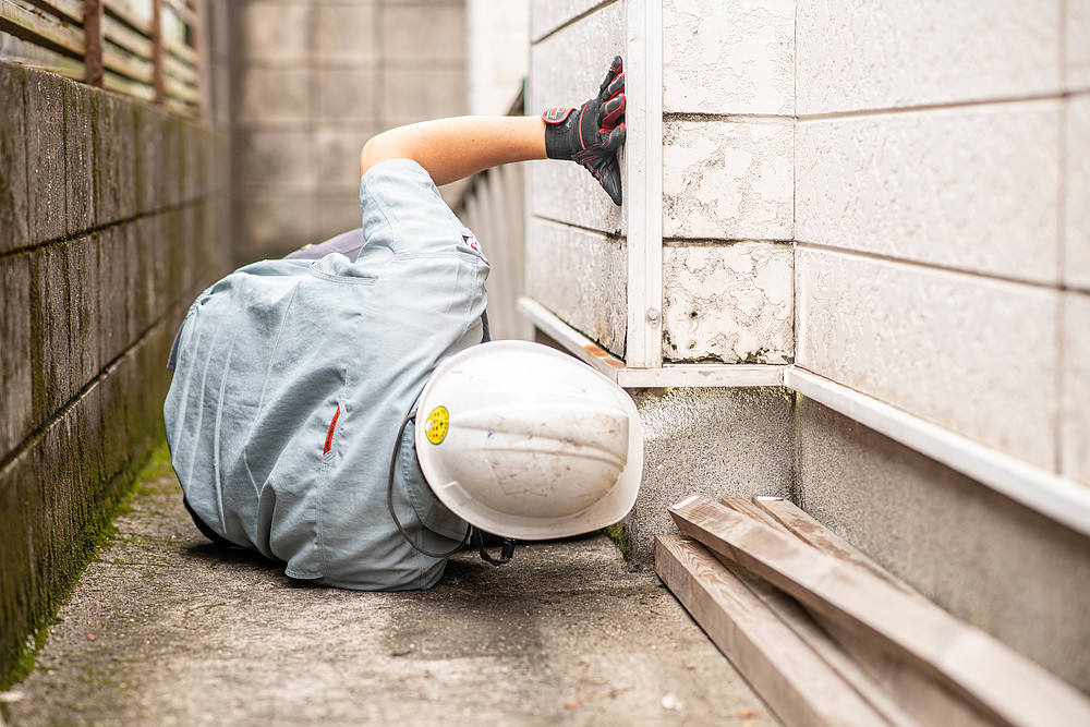 小川英信 おがわひでのぶ