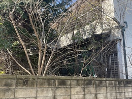 ～借地の専門家による～【借地空き家】セミナー