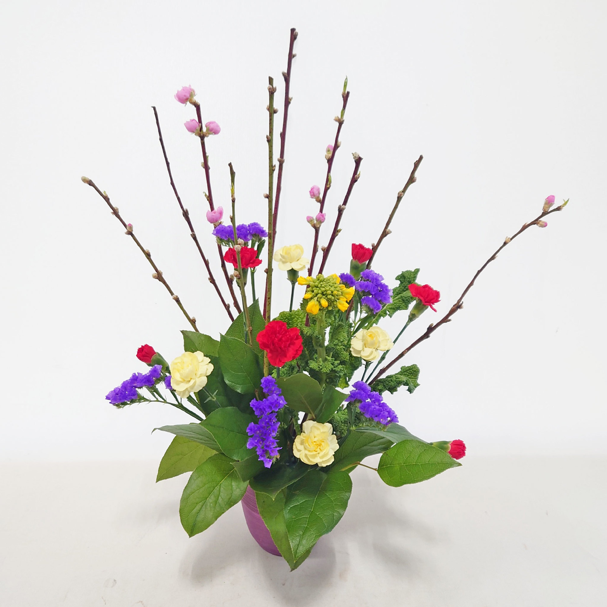 2月12日②「春となり」花もも、菜の花他