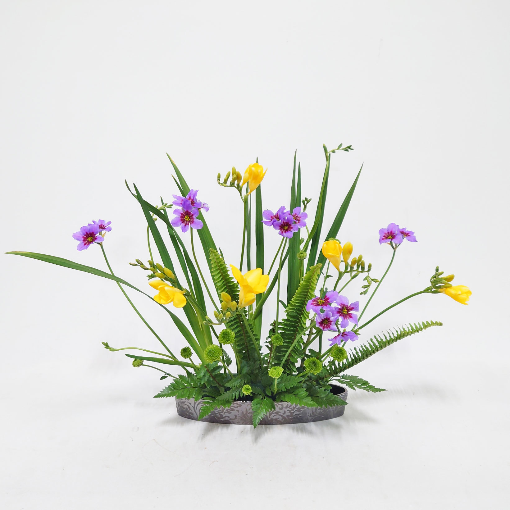 3月26日「春風」フリージア、リューココリーネ他