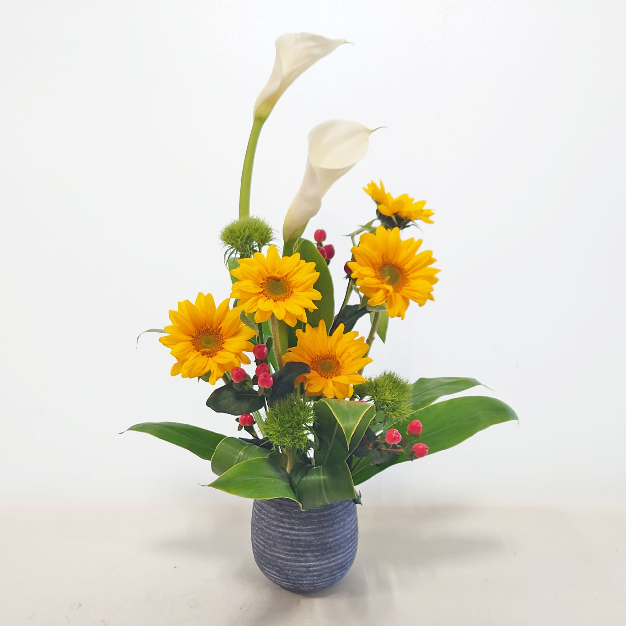 4月23日⑦「立夏」ヒマワリ、カラー、ヒペリカム