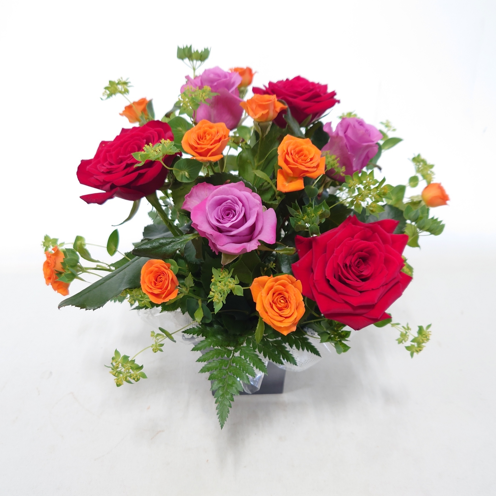 6月11日⑨「薔薇」バラ、ブプレ他