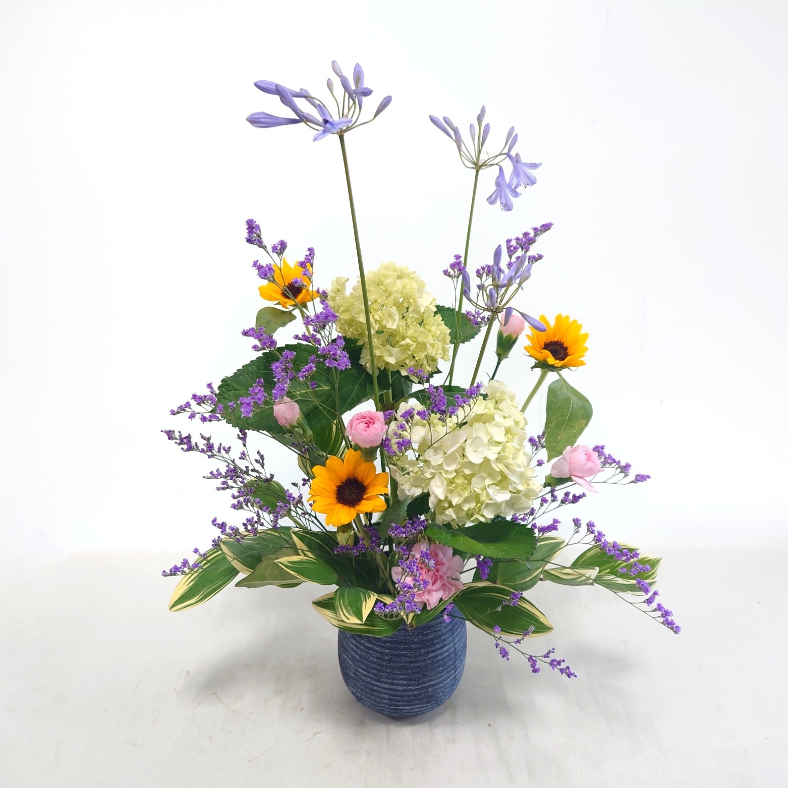 7月9日⑪「梅雨明け」アジサイ、アガパンサス他