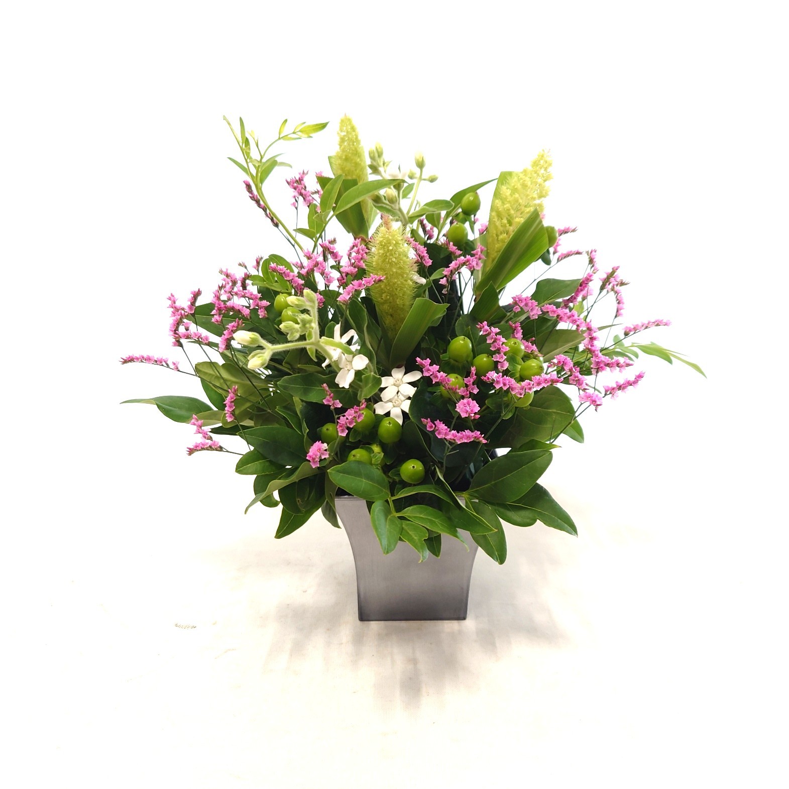 7月23日⑫「流星」あわ、ホワイトスター