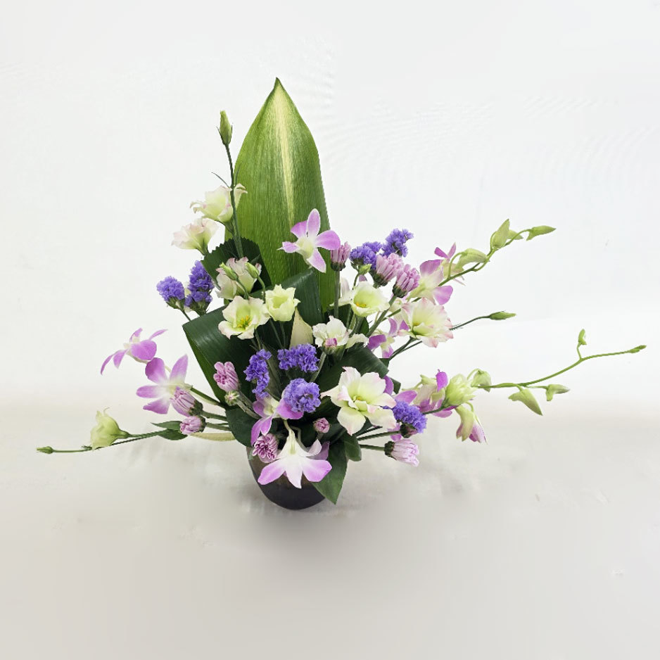 8月27日⑬「処暑」デンファレ、トルコキキョウ