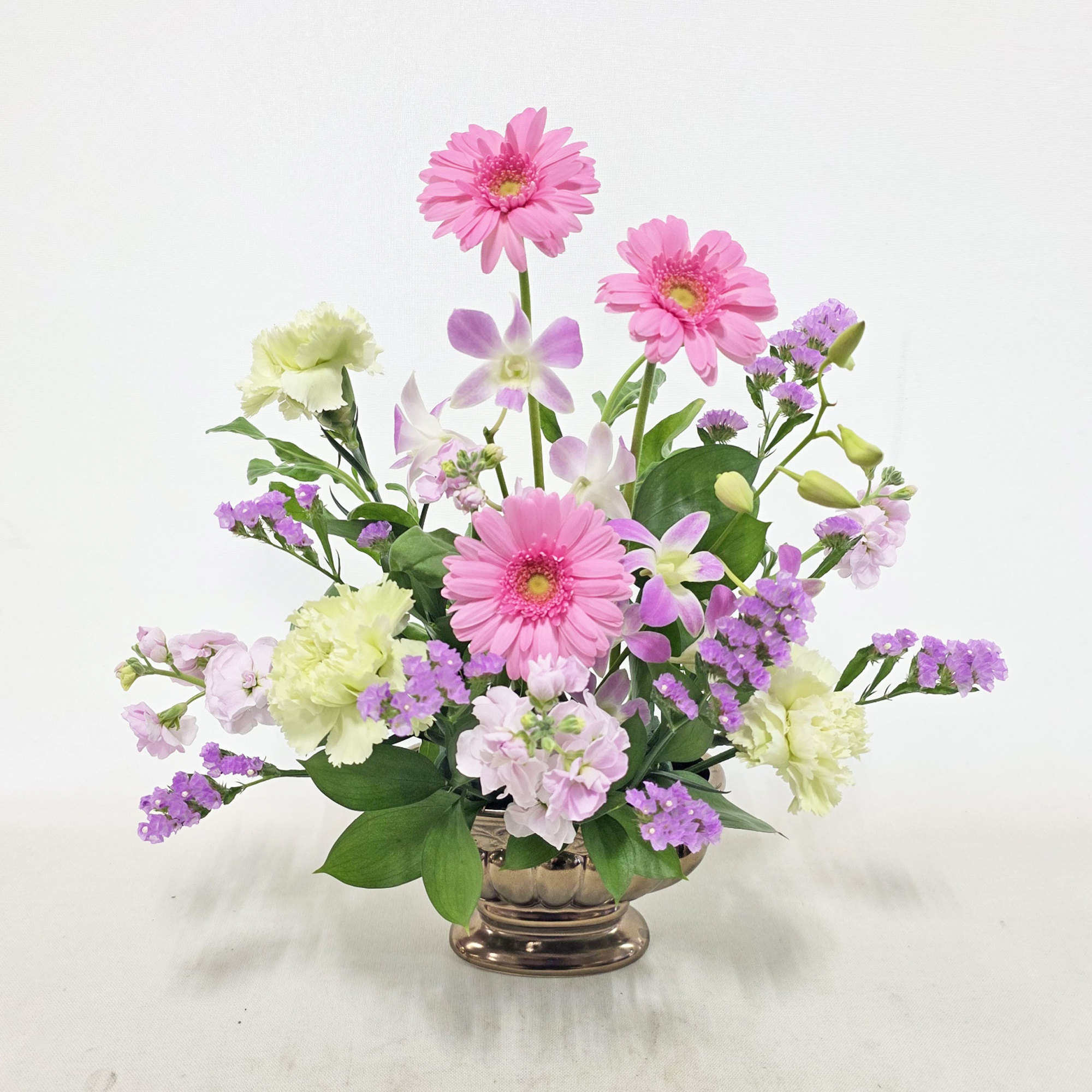 11月12日⑰「楚々」ガーベラ、デンファレ