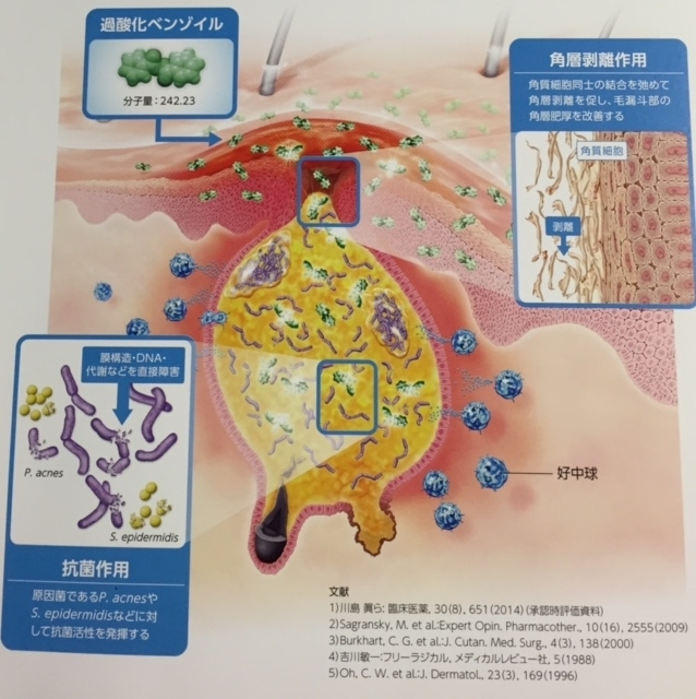 作用機序