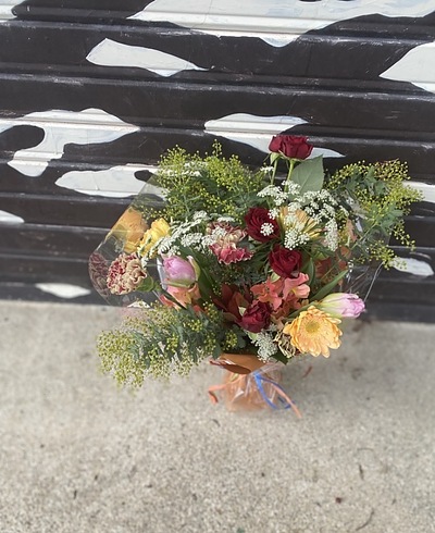 ミモザのつぼみ