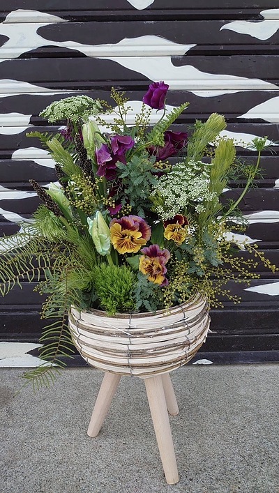 パンジーを　その2