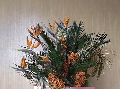 ソテツの美しさ