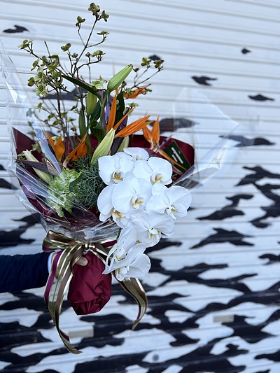 胡蝶蘭を束ねて