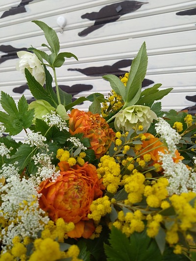 春のビタミンカラー