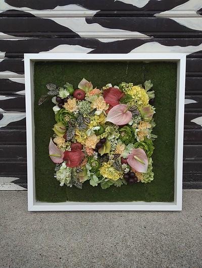 フレームデザイン