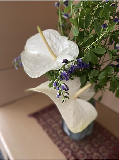 コントラスト