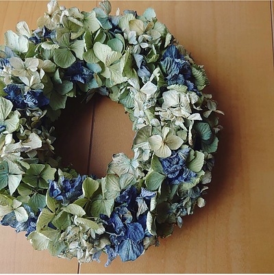 愛しの紫陽花